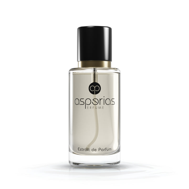 Asperias Unisex 011 | Bouge 504