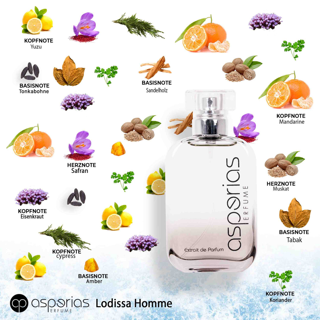 Asperias Men 025 | Lodissa Homme